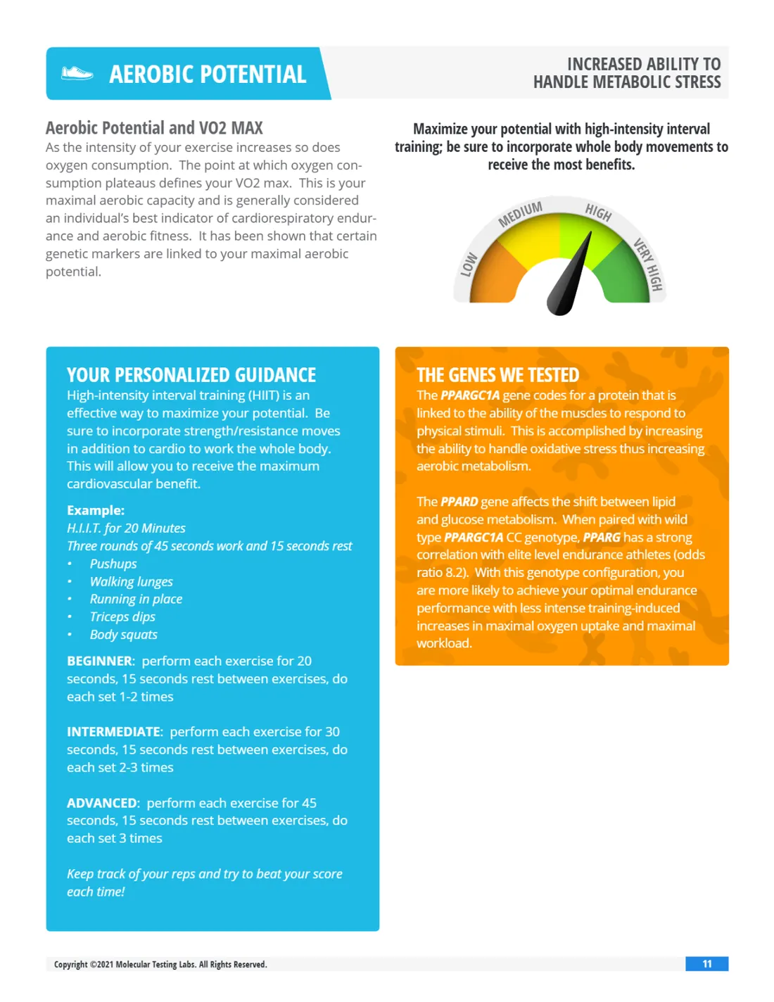 Page 11 of the Fitness DNA Profile sample report: Aerobic potential
